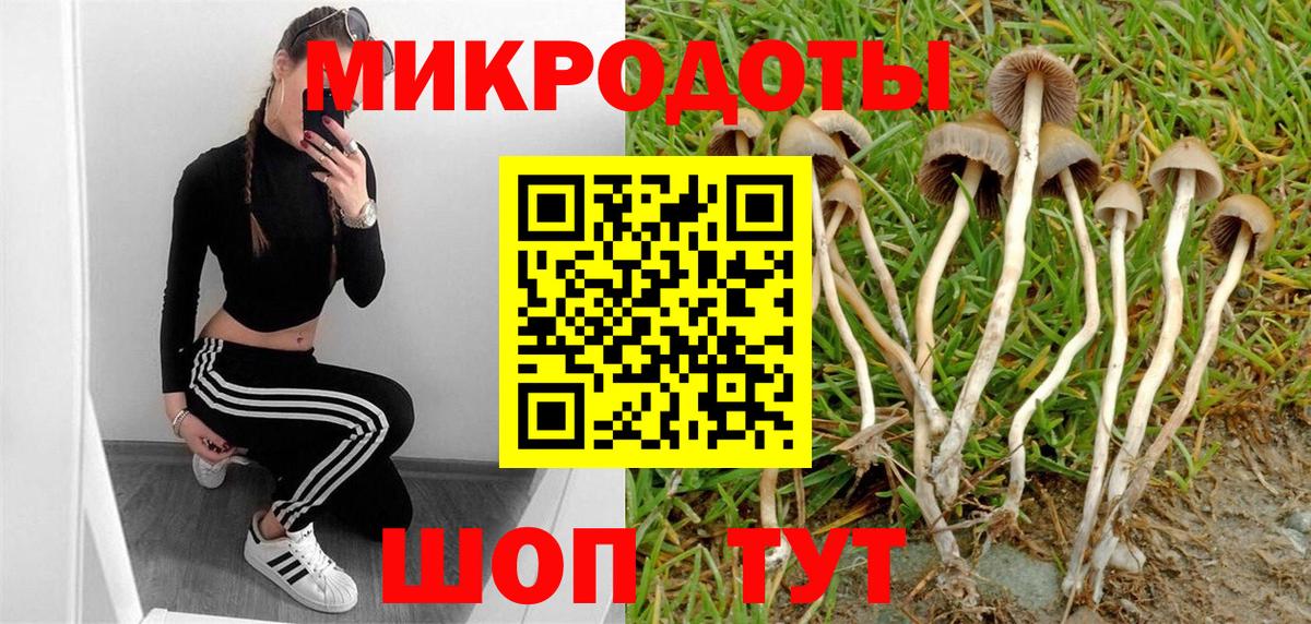 Псилоцибиновые грибы мухоморы Дмитров