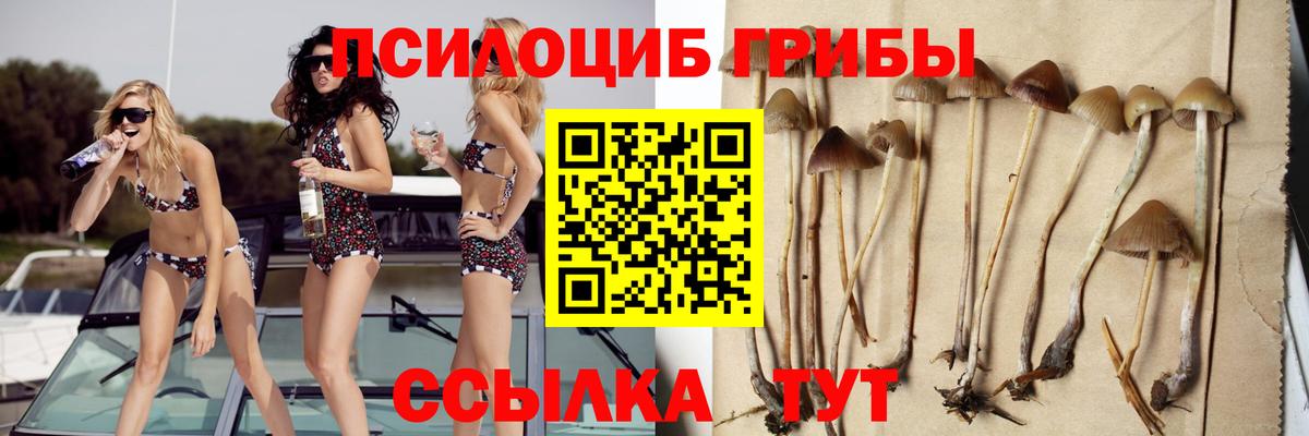 Дмитров  Галлюциногенные грибы Psilocybe  купить наркотик  Вход с VPN 
